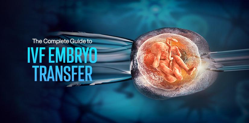 The Complete Guide to IVF Embryo Transfer: Boosting Your Chances of Success